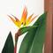 Glitzhome® 5.25ft. Faux Bird of Paradise Plant in Pot